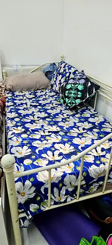 Single Metal Bed Frame with 2 Mattress