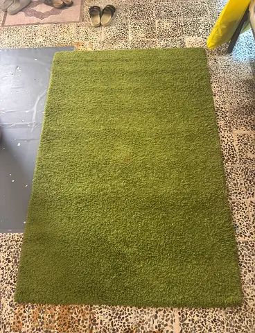 Green Rug - Medium Size, Good Condition