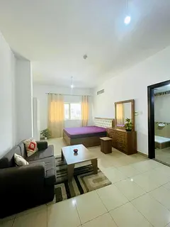 Big Master Room with attached private bathroom - Direct from owner