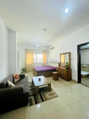 Big Master Room with attached private bathroom - Direct from owner