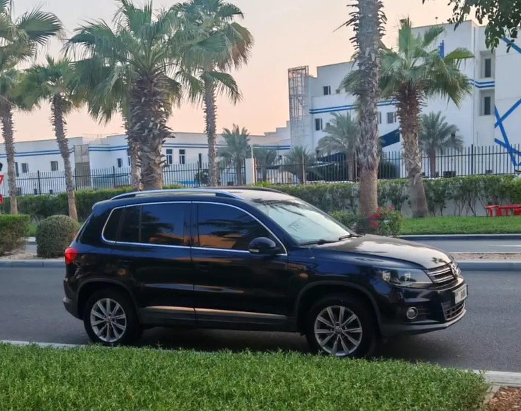 Volkswagen Tiguan 2015 — photo 1 of 11
