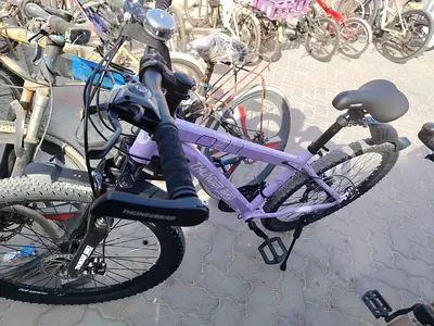 Purple Thunder 26 Mountain Bike - Good Condition