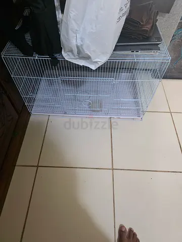 Big Bird cage