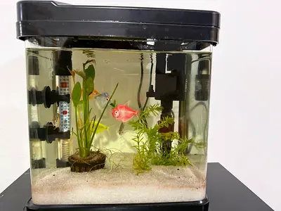 Small 20L Home Aquarium Kit with Decorations and Fish