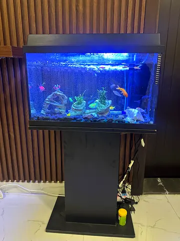 Home Aquarium with Stand and Accessories - Ready to Use