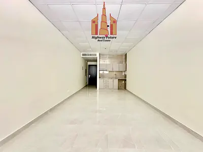 Like A New Spacious Studio Apartment With Separate Kitchen 34K