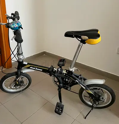 Folding bike