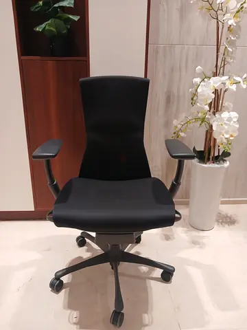 Herman Miller Ergonomic Embody Chair Fully Loaded Posture Fitt for sale