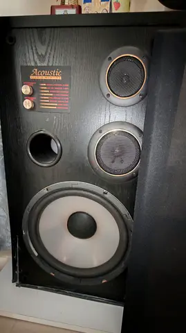 Pair of Acoustic floor-standing speakers (large woofer) - used.