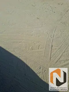 For Sale: Two Agricultural Farms in Al Dhaid – Al Owaid Area 🌴