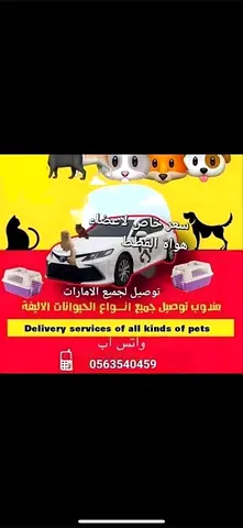 دبي جميرا