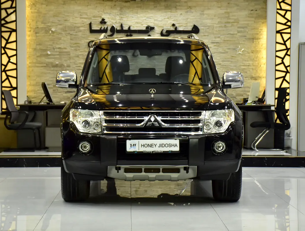 Mitsubishi Pajero 2009 — photo 1 of 16
