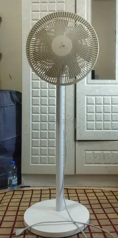 Fan