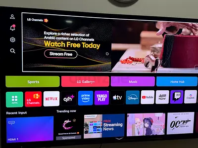 LG 65 Inch QNED - 3 Months Use Only