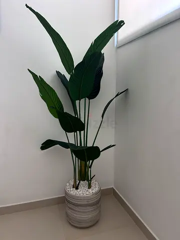 Tall artificial bird of paradise plant in decorative pot. 160 cm