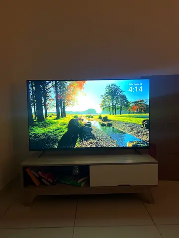TV 65 for sale