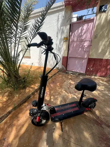 Electric scooter