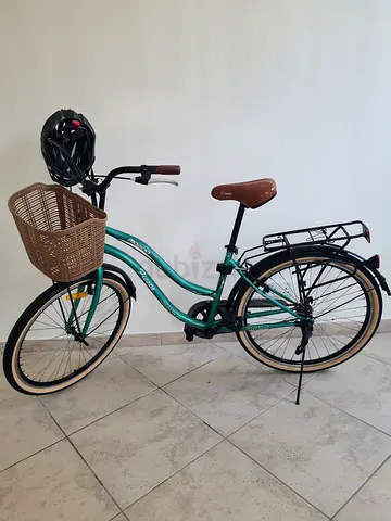 Comfort Cruiser Bike with Front Basket and Rear Rack - Excellent Condition
