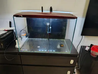 Aquarium -60*35*40 cm for sale international city 2