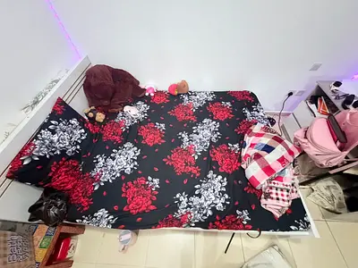 Queen size wooden bed  medicated mattress