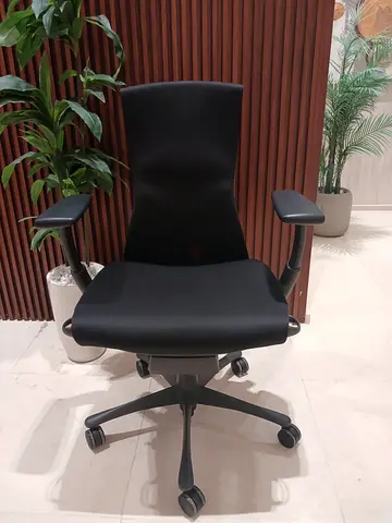 Selling Embody Herman miller Office Chair excellent condition Posture and fully Loaded