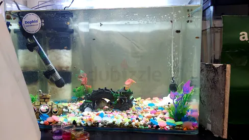 Aquarium with fishes