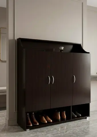 Dark Wood Shoe Cabinet with Shelves and Top Storage خزانة ممتازة خشب فاخر نظيفة 💯 أحذية ملابس تخزين
