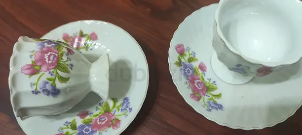 Set of 2 Floral Porcelain Teacups with Saucers