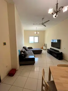 single room for rent for bachelors