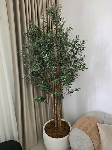 Tall Artificial Olive Tree in White Pot - new Condition