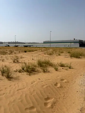 الشارقة - الصجعه الصناعية