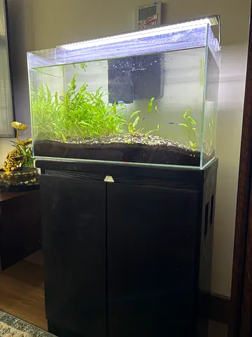 Complete 60cm planted aquarium with stand and LED light