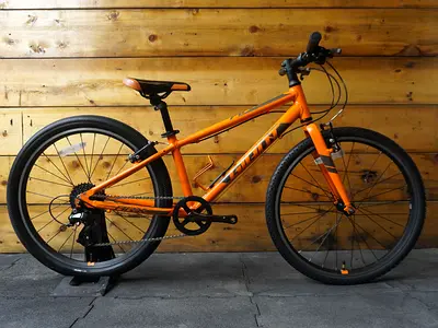 Giant ARX 24 Kids Bike