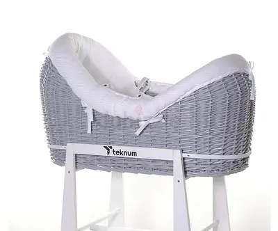Teknum Baby Basket