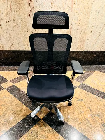 Ergohuman office chair