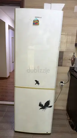 Used two-door refrigerator - good working condition