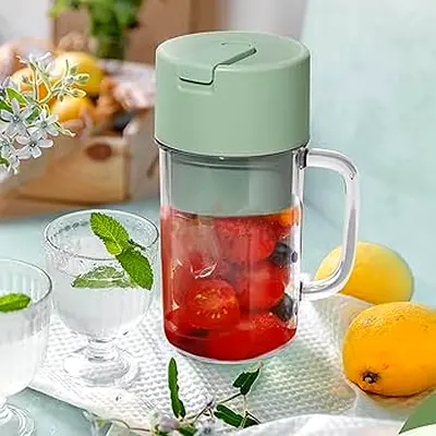 Fruit Infuser Water Bottle with Handle - 700ml