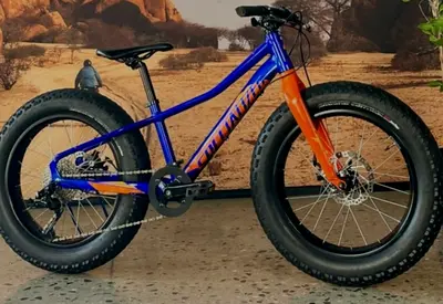 Specialized disc 20inches limited edition disc