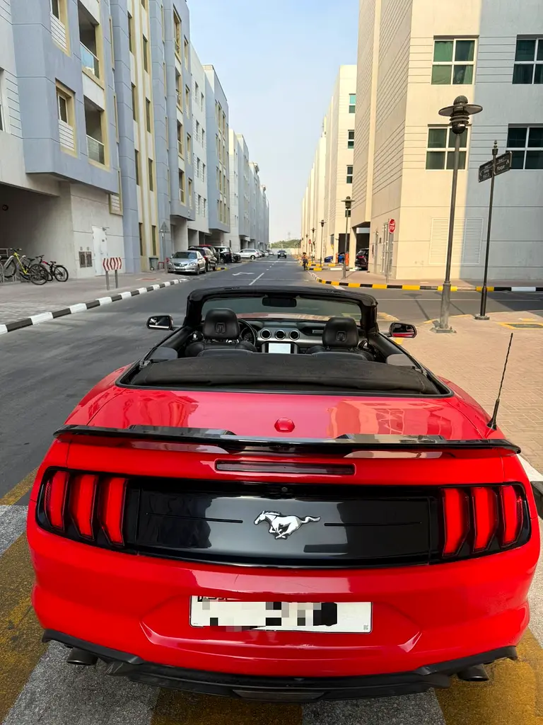 Ford Mustang 2018 — photo 1 of 5
