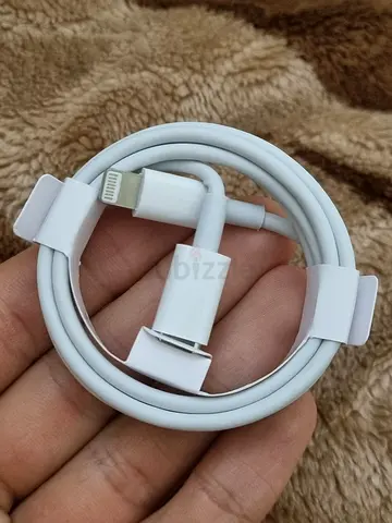 Cable iPhone Original
