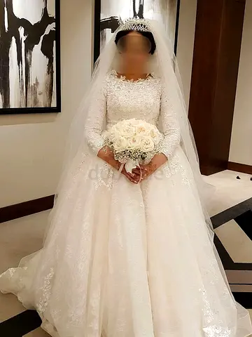 Elegant Lace Ballgown Wedding Dress with Long Sleeves  Tiara Veil