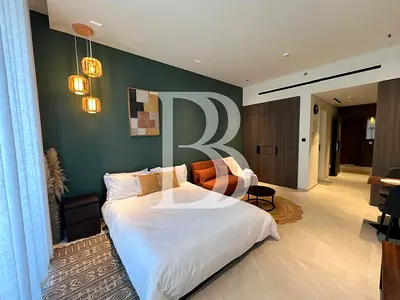 Fully Furnished, Spacious Brand New Studio
