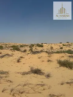 Residential and Commercial Land for Sale in Al Ruwaidat Project - Al Dhaid