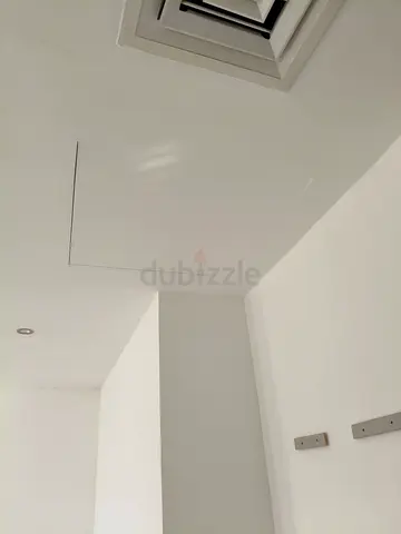 Home paint services
