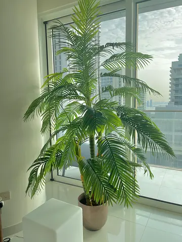2.4m Artificial Palm Tree with Pot