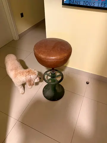 5x Industrial Bar Stools | Marina Home | Height Adjustable | Leather Seats - without table