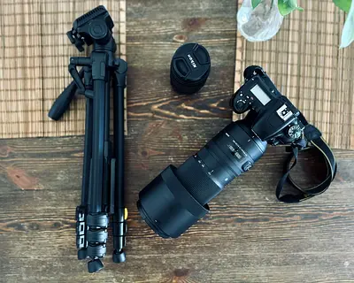 Nikon D7500 with Sigma 150-600 mm Nikkor 18-140mm