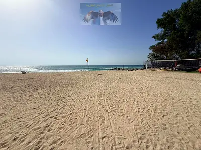 Apartment for rent three bedrooms and a living room with a private beach two terraces free chiller