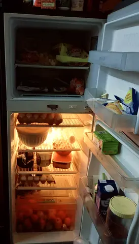 Fridge