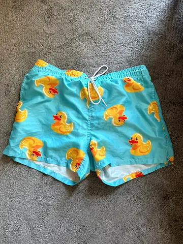 Mens L swimming shorts ducks